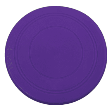 Frisbee